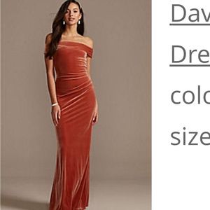 Cinnamon David’s Bridal Off The Shoulder Velvet Dress